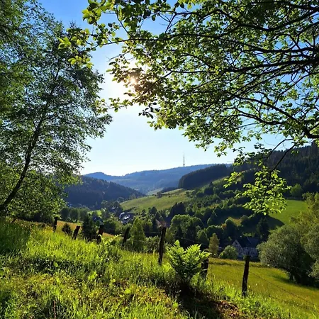 Krahling Schmallenberg
