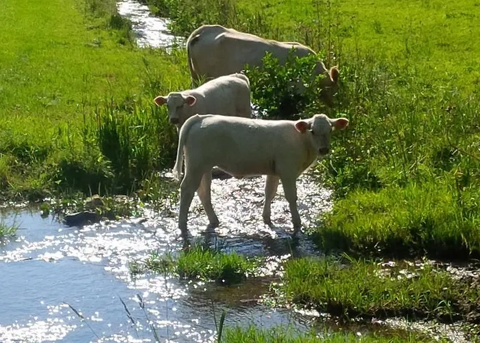 Krahling * 슈말렌부르크