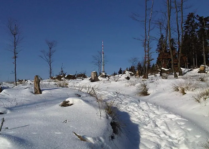 아파트 Krahling *